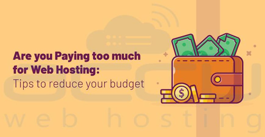 Are you Paying too much for Web Hosting: Tips to reduce your budget