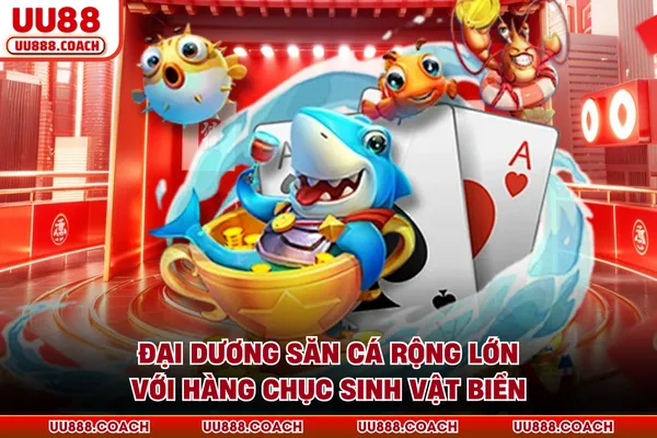 Đại dương săn cá rộng lớn với hàng chục sinh vật biển