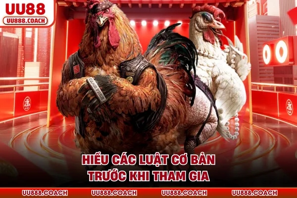 Hiểu các luật cơ bản trước khi tham gia