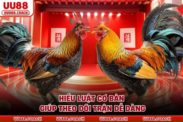 Hiểu luật cơ bản giúp theo dõi trận dễ dàng